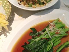 -福禄财东北菜(珠江帝景店)