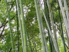 -苏州河梦清园环保主题公园