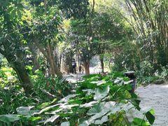 -红花湖景区