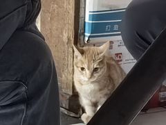 -凤姐烧烤(水街商场店)