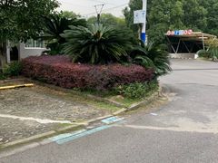-宝山区庙行镇社区事务受理服务中心·车库