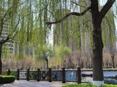 -保定东湖公园(莲池区)