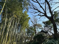 -秋霞圃