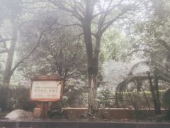 -明月山天沐温泉度假村