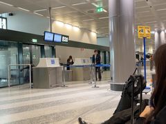 -米兰马尔彭萨国际机场