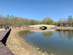 -东郊湿地公园