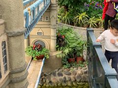 景点-南宫五洲植物乐园