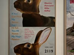 -德基艺术博物馆