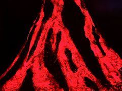 -安徽省地质博物馆