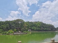 -广州市帽峰山景区