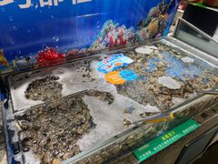 -亚马逊海鲜自助(梅溪湖步步高店)