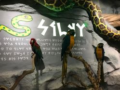 -Zoolung Zoolung动物主题公园(海信广场店)