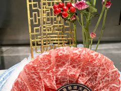 -喜聚薈·花膠雞海鮮火鍋(越秀店)