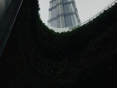 -大食代美食广场(上海中心店)