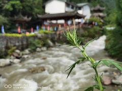 -西岭雪山大飞水景区