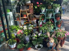 -FEI FEI FLOWER鲜花店·气球派对·宝宝宴布置(虹口德必运动Loft店)
