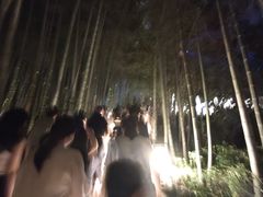 -杭州黄龙洞