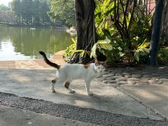 -晓港公园