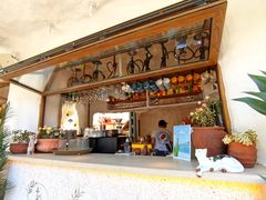 -Sirena海妖日咖夜酒