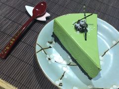 -柴务处·柴犬主题狗咖