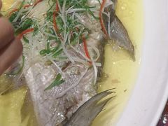 鸡油盐煎白刀鱼-万家宴海鲜大酒楼(五四路店)