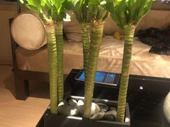 -成都尼依格罗酒店