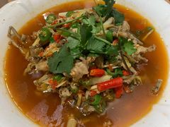 切猫儿-飞虹鱼馆(春华路店)
