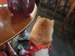 -跳海酒馆(江湾里店)