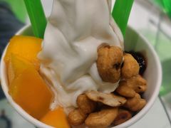 -Salud撒露欧洲冻酸奶(蓝色港湾店)