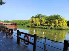 -大湾区中央湿地公园