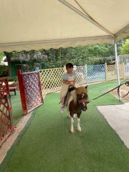 -萌宠亲子动物乐园(槐房万达店)