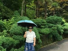 -汉拿树木园