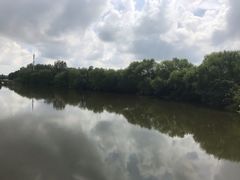 -溱湖国家湿地公园