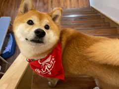 -必胜客(WOW中心城店)