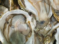 -千滋百味自助海鲜烤肉(布吉景华店)