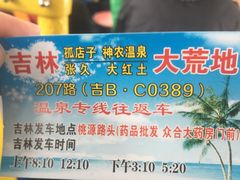 -陆地游轮吉林神农温泉