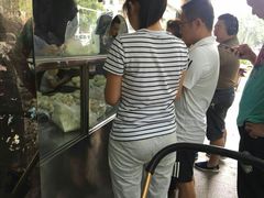 -袁大头包子(光华路店)