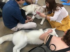 -TrueLove @ Neverland (Husky Cafe)