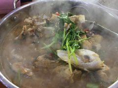 -全乐鱼馆·淳牌有机鱼直营店
