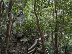 -梧桐山风景名胜区