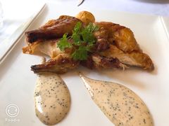 -蝶舍·MAISON PAPILLON