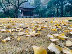 -汇龙潭