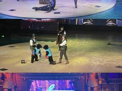 -哈尔滨波塞冬海底世界