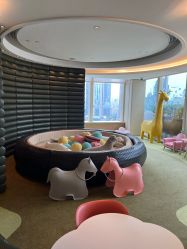 -巍阁高端月子会所