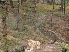 -泉州海丝野生动物世界