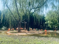 -石家庄市动物园