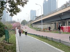 -艾溪湖湿地公园