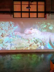 -恐龙探索乐园(磁器口店)