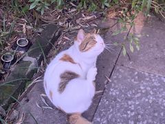 -谷咖啡·鲜花绿植花园餐厅