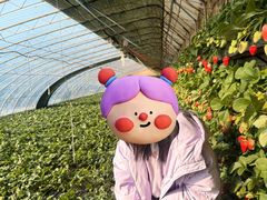 -大自然农场蔬菜草莓采摘园